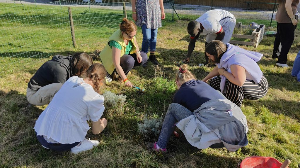 participants gardening.. Five people crouching and planting herbs in a garden