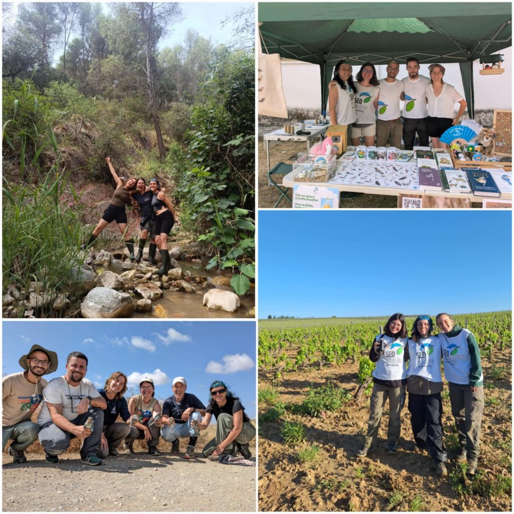 A photo collage with 4 pictures depicting Lorie with different groups of people in a forest, at a stand, on the road and in the desert.