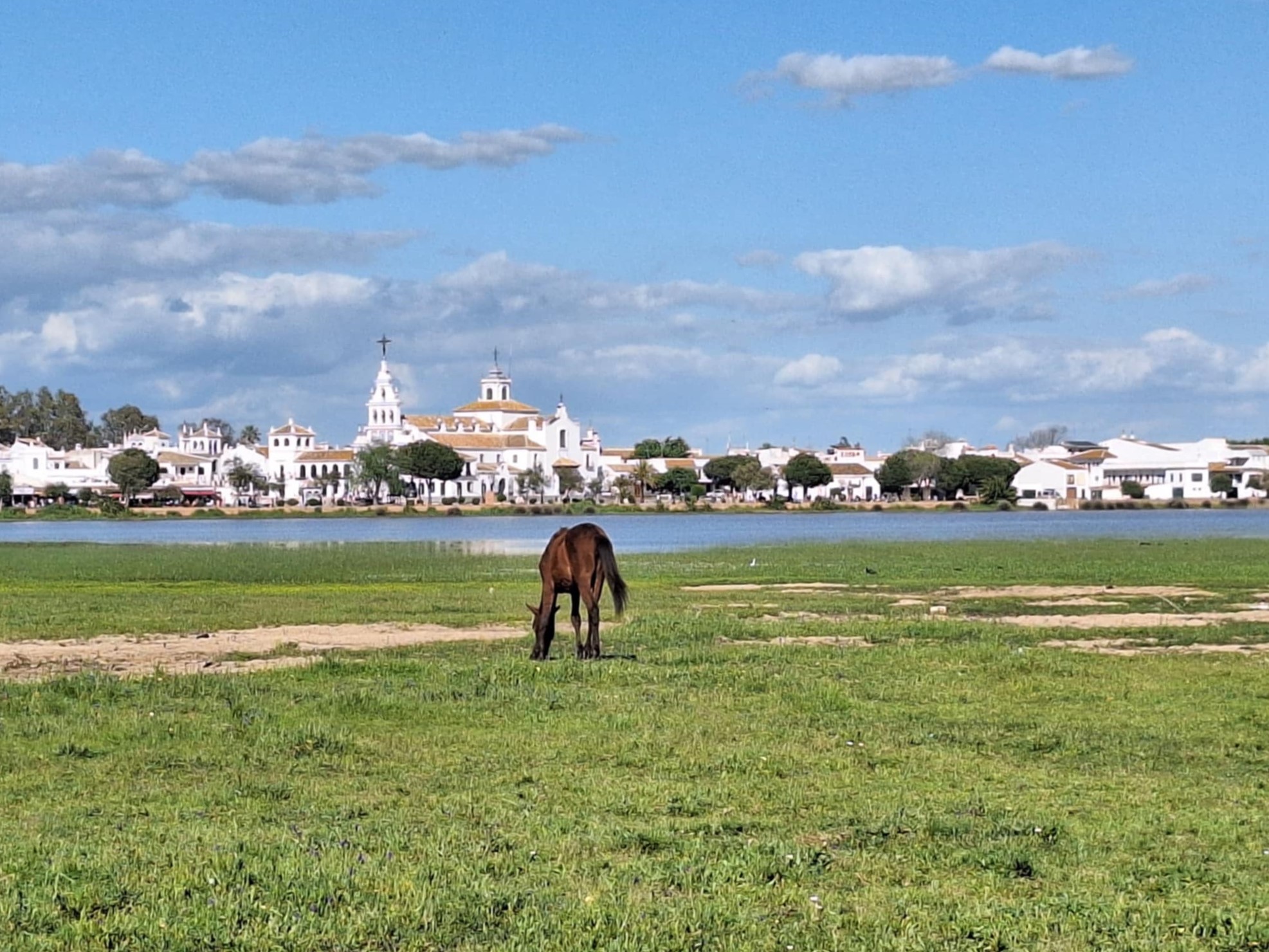 elrocio