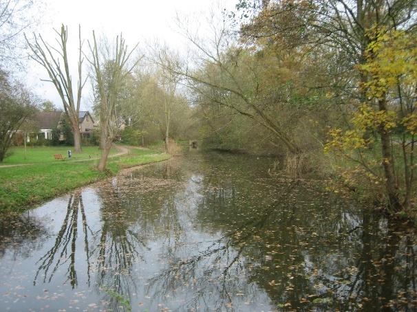 Photo of a pond, surrounded by a green meadow and trees that have lost their leaves